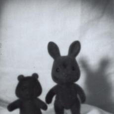 Ours et lapin, face, tirage, sténopé, 1999.